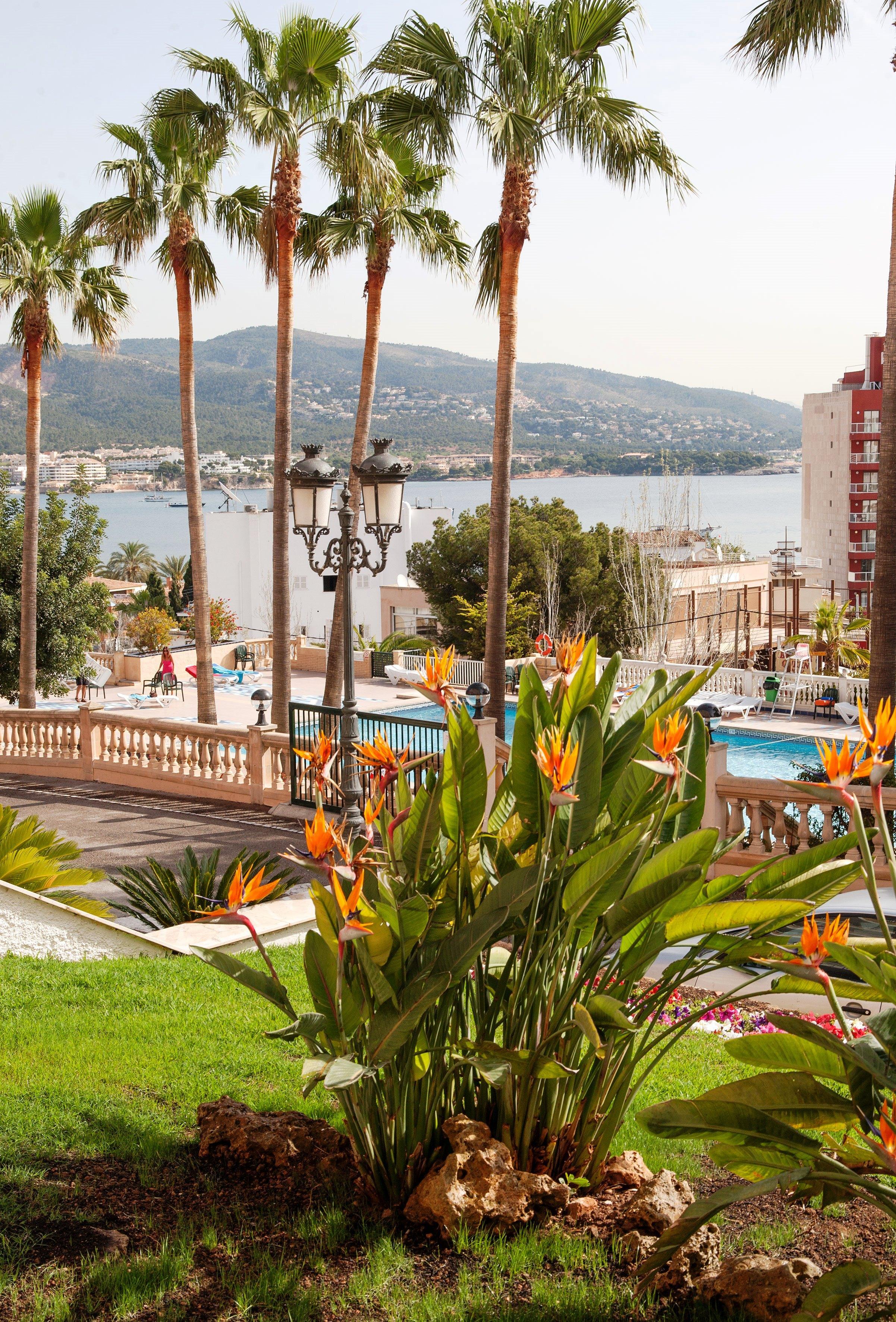 מגאלוף Cooks Club Calvia Beach - Adults Only מראה חיצוני תמונה